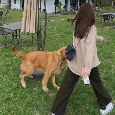 梦游故宫